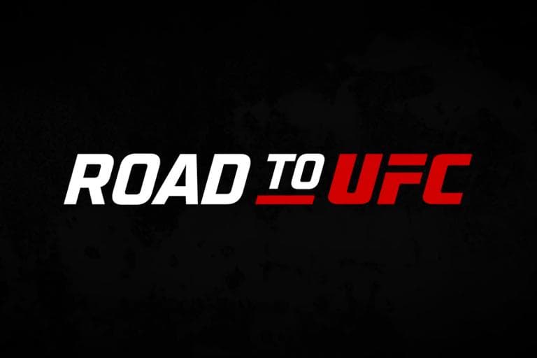 Road to UFC